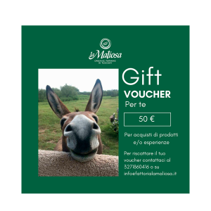 Voucher - 50€