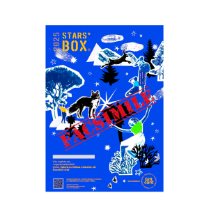 Voucher - Esperienza in StarsBOX "Aria"